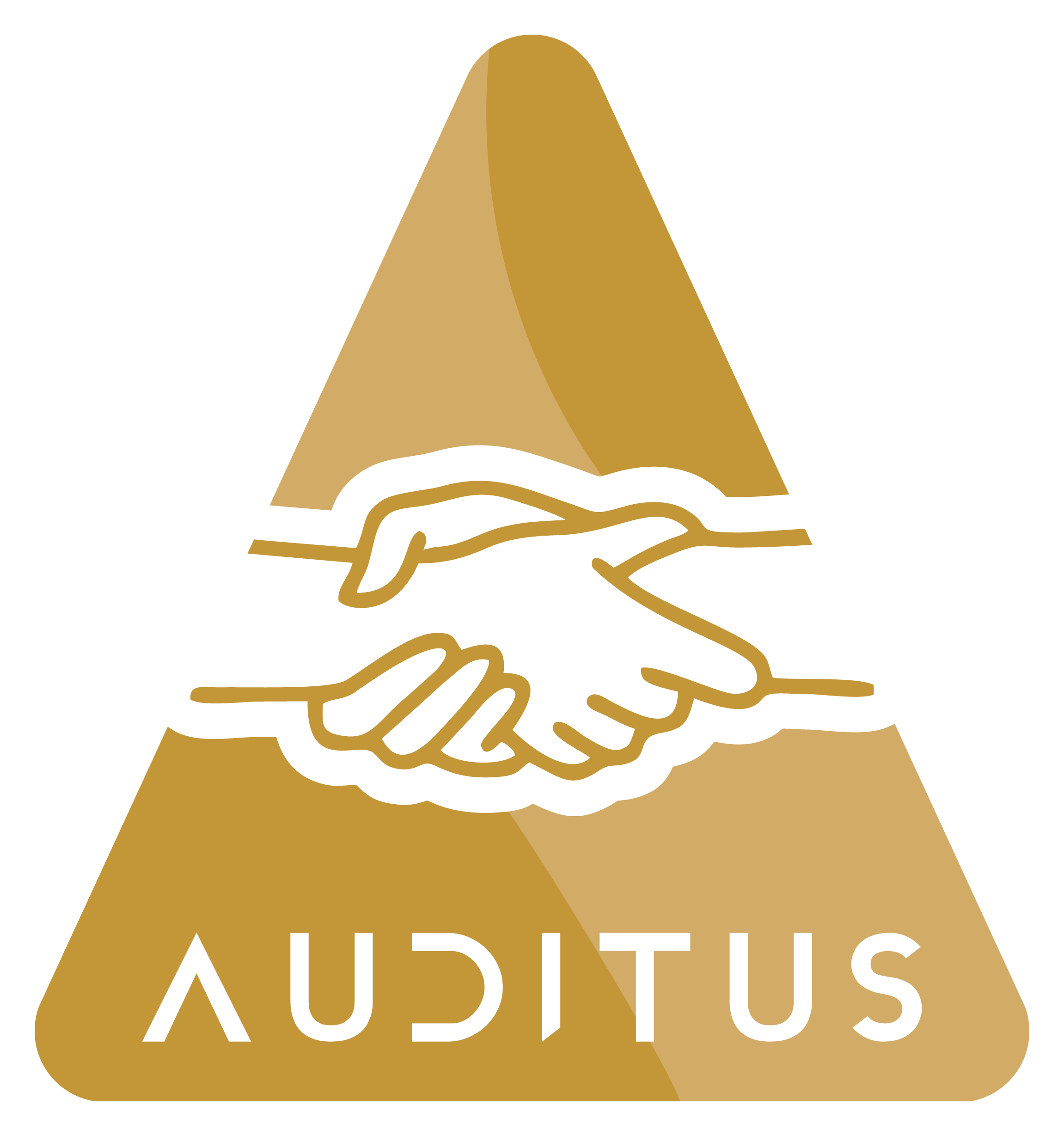 AUDITUS_Logo